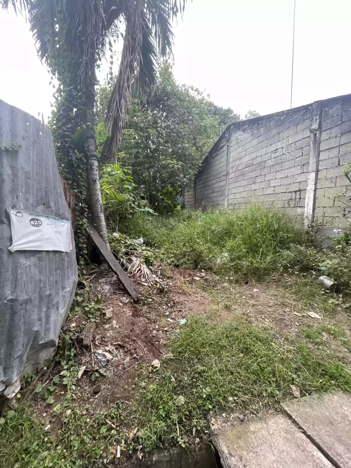RESIDENTIAL LOT FOR SALE IN KAUSWAGAN NHA — Residential Lot in NHA, Kauswagan, Cagayan de Oro — Photo 7