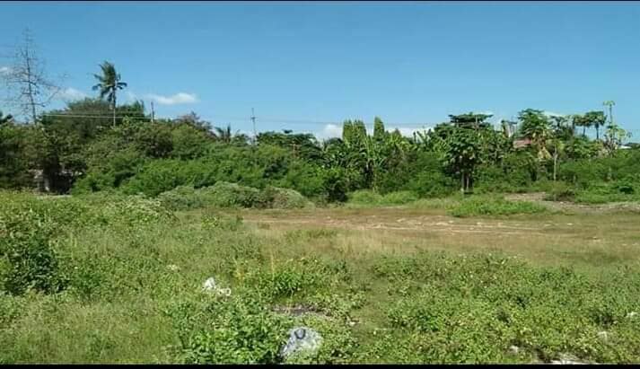 For Sale 2 Hectares Commercial Lot in Lapulapu - photo 5