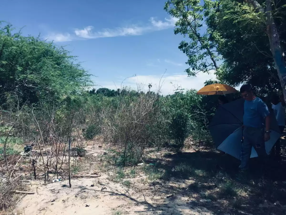 Beachlot for sale — Beach Lot in Philippines — Photo 5