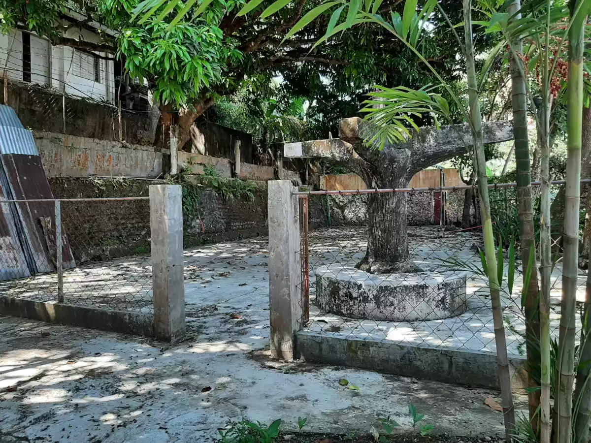 House and Lot for Sale in Pit-os Talamban Cebu - photo 3