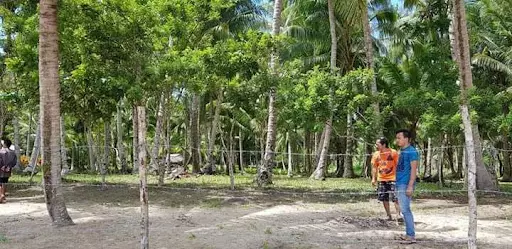 Palawan Beach lot For Sale  - photo 5