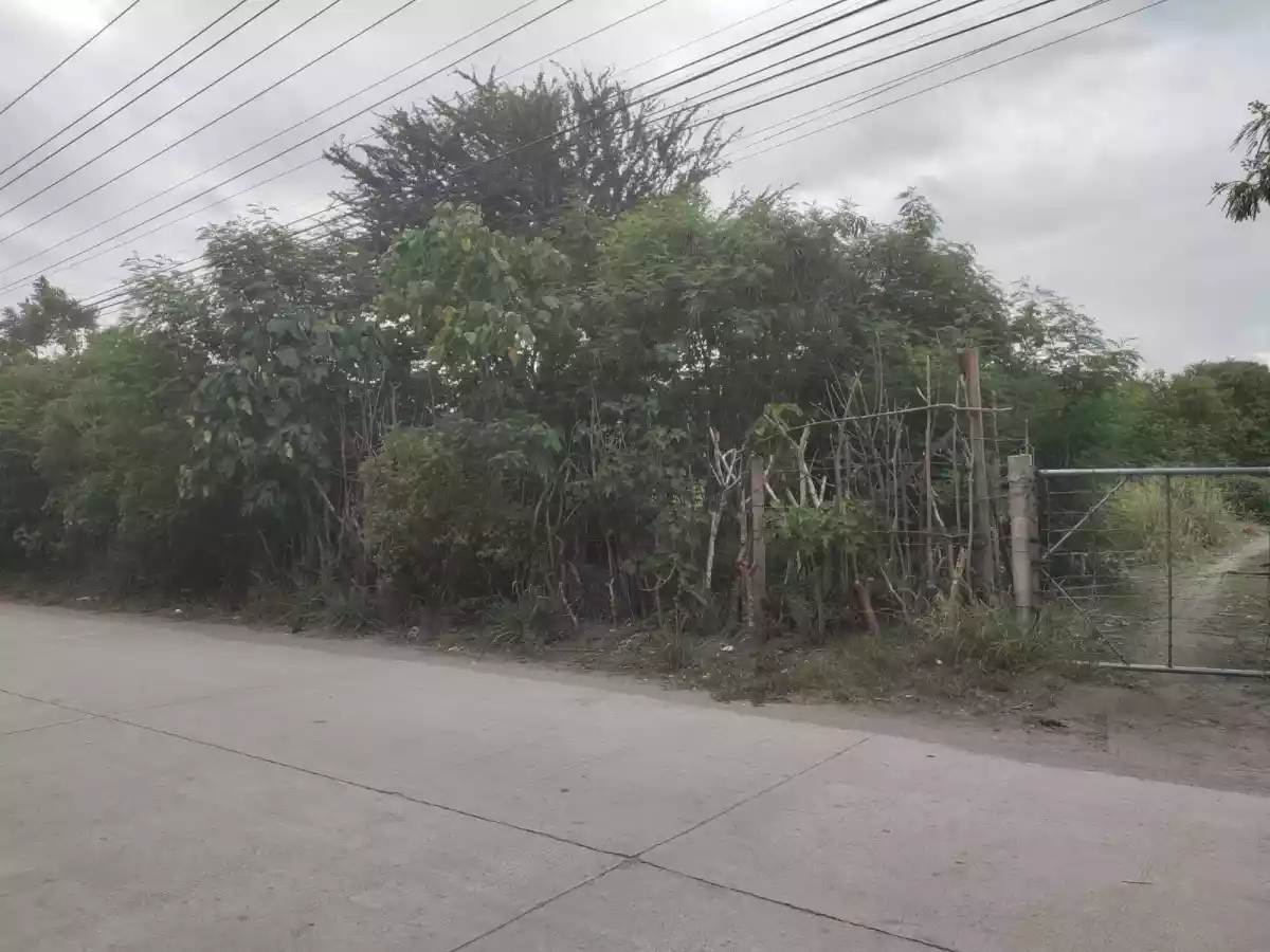 Commercial Lot Along Salvani Street and Mabuhay Road — Commercial Lot in General Santos City, South Cotabato, Philippines — Photo 6
