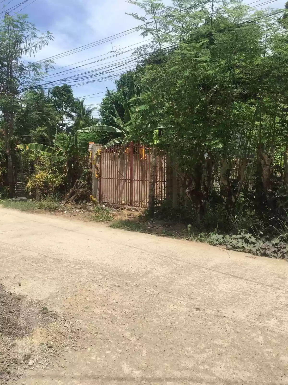Lot for sale in Pakigne Minglanilla, Cebu — Residential Lot in Cebu, Philippines — Photo 3