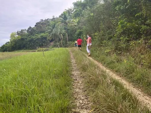 Pinakabarato nga yuta - photo 2