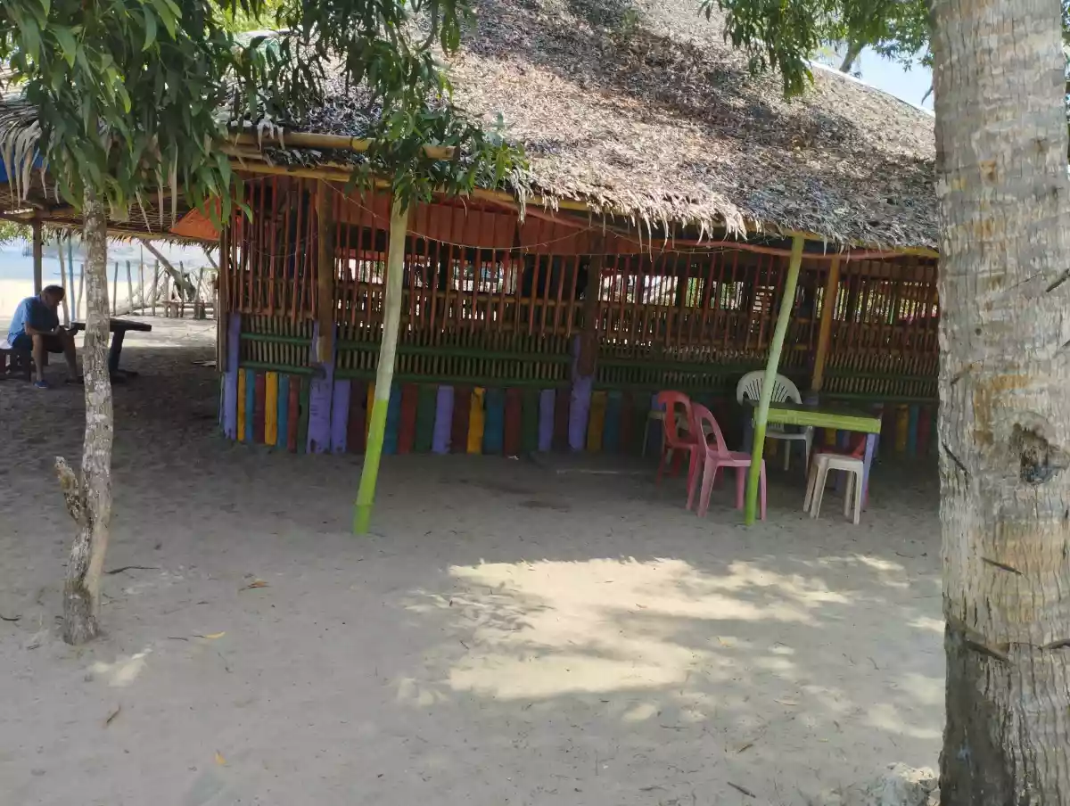 TITLED BEACH LOTIN SIPALAY — Beach Lot in Sipalay, Negros Occidental, Philippines — Photo 3