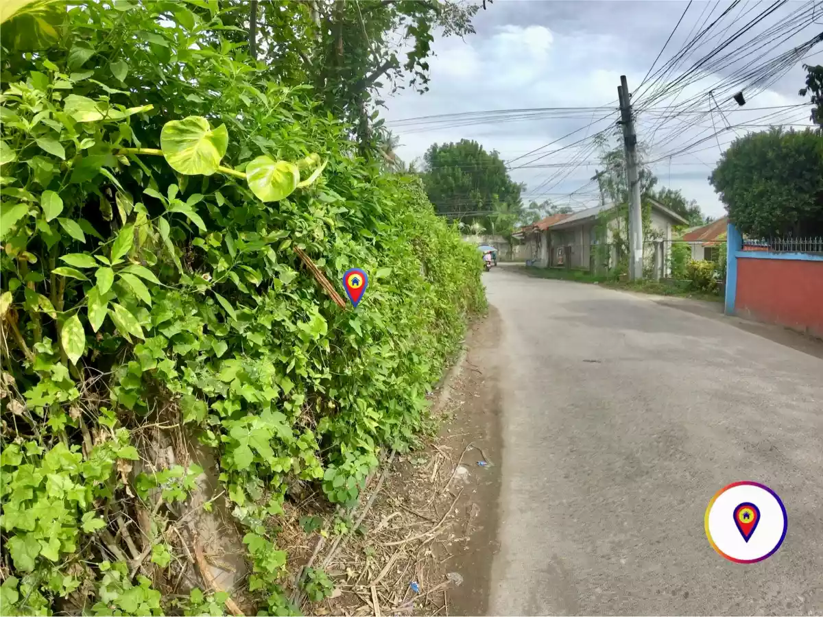 Corner Commercial / Residential Lot For Sale Along Concrete Road at Junob, Dumaguete City — Commercial Lot in Dumaguete, Negros Oriental, Philippines — Photo 4