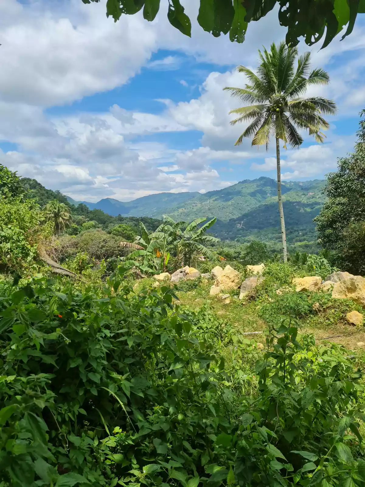 Lot in Babag, Cebu City — Residential Lot in Cebu City, Cebu, Philippines — Photo 3