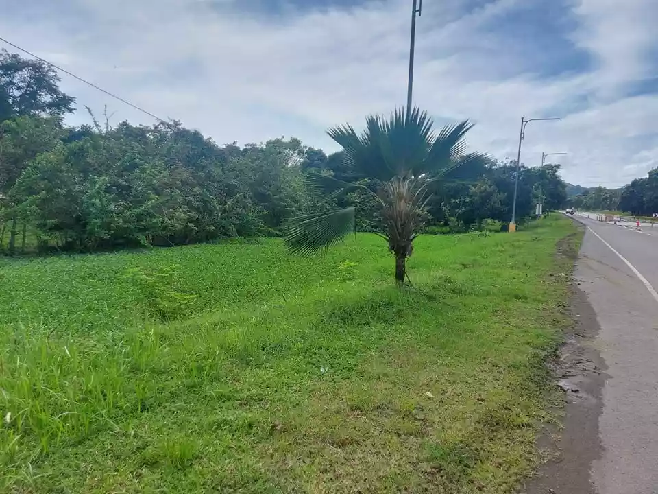 Lot For Sale - photo 3