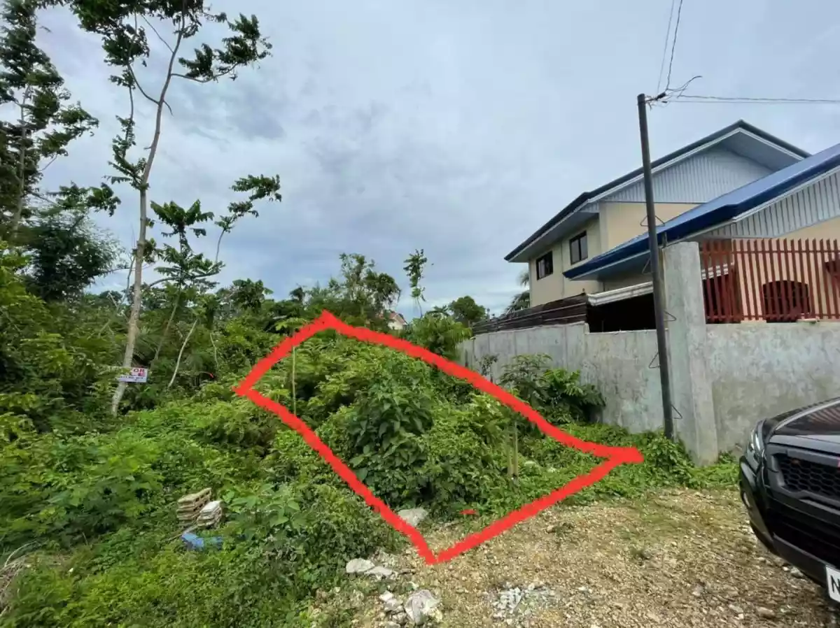 RESIDENTIAL LOT-DAO TAGBILARAN — Residential Lot in Tagbilaran City, Bohol, Philippines — Photo 4