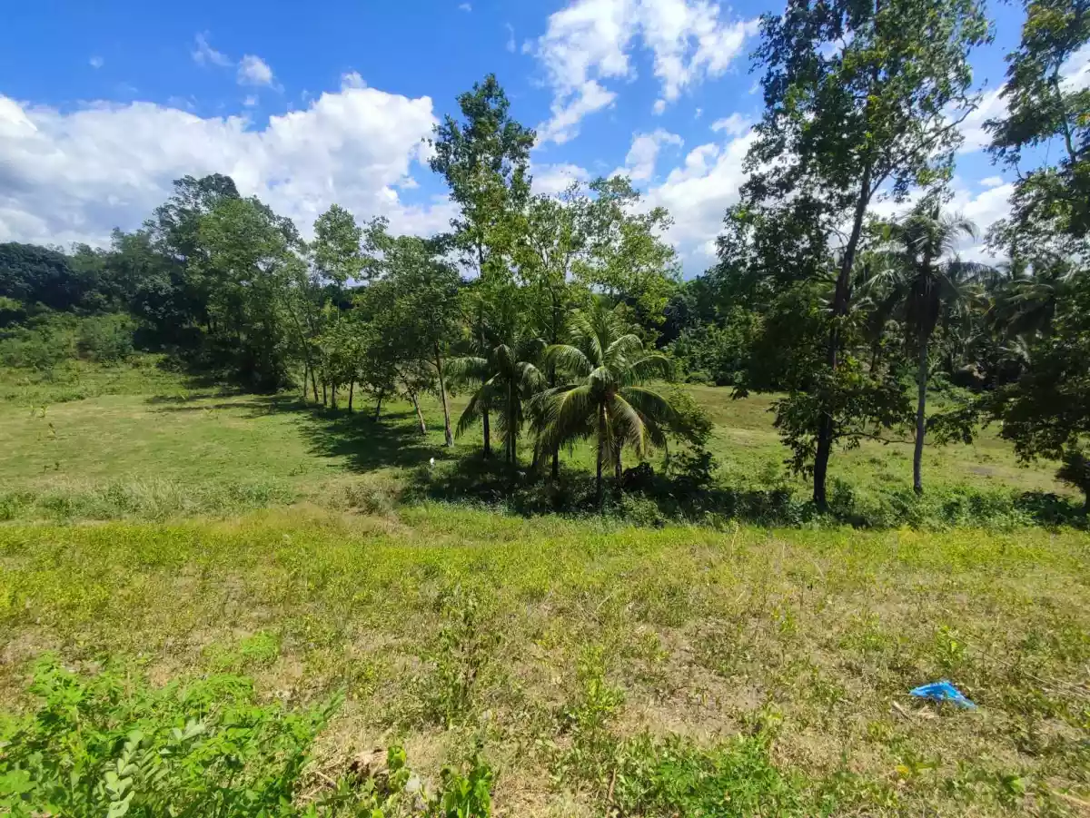 LOT FOR SALE - photo 4