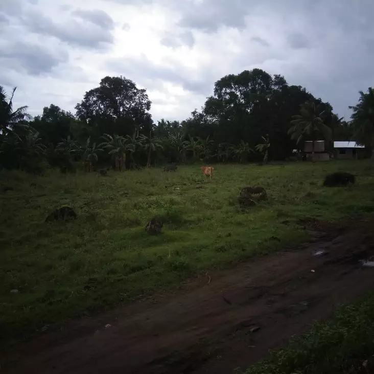 6000 sqm. lot isugan bacong - photo 5