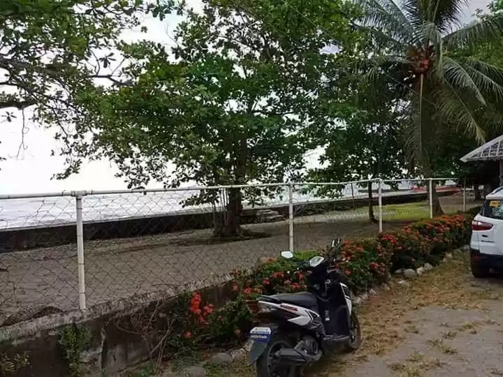 BEACH LOT FOR SALE IN DUMAGUETE CITY - photo 7