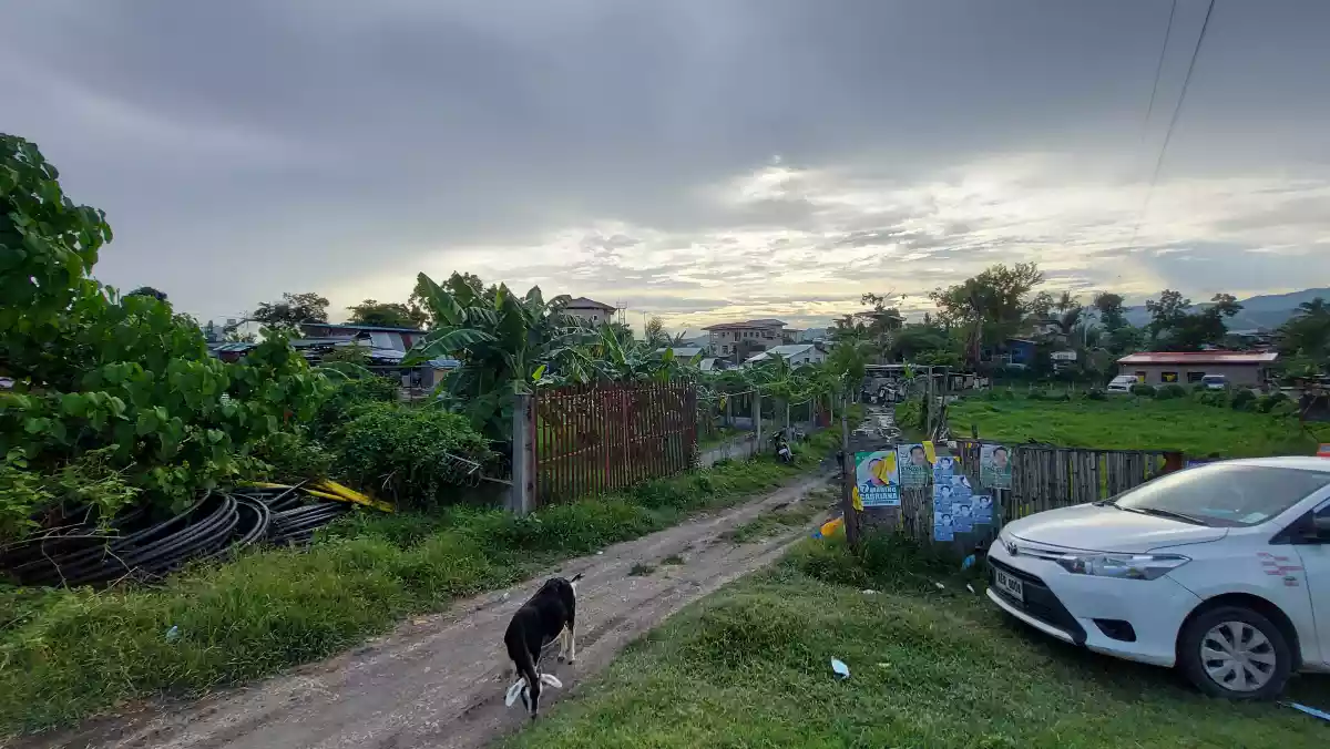 Lot for lease - photo 4