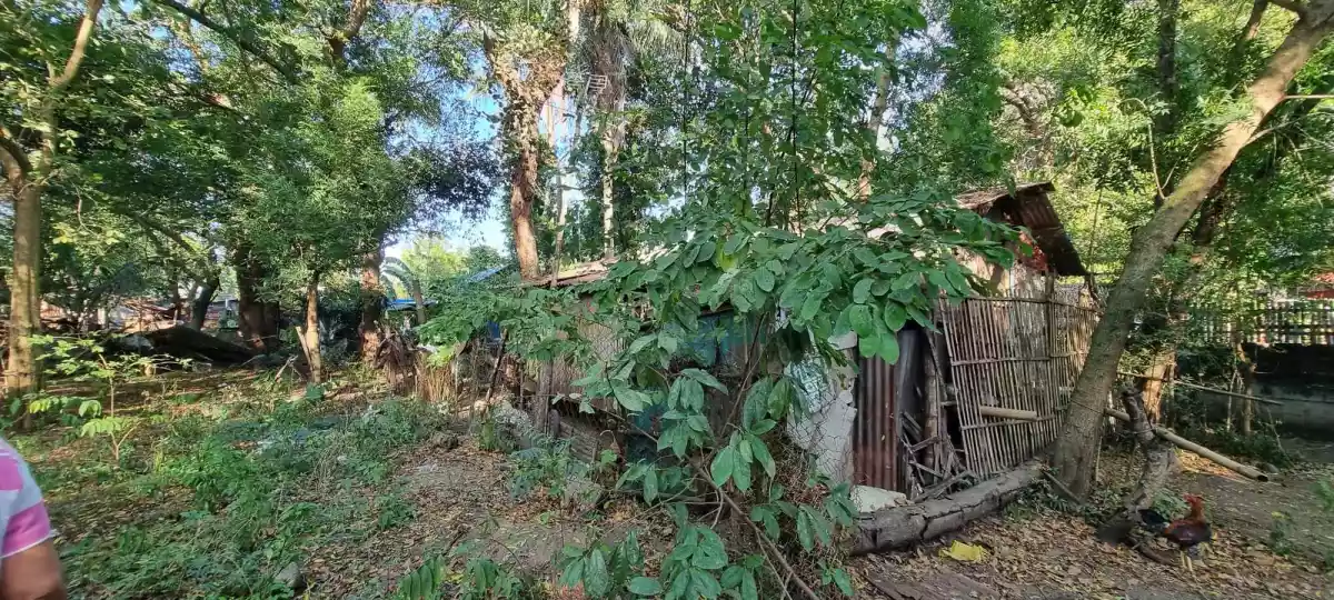 Lots for Sale in Alegre, Oton, Iloilo — Residential Lot in Oton, Iloilo, Philippines — Photo 7