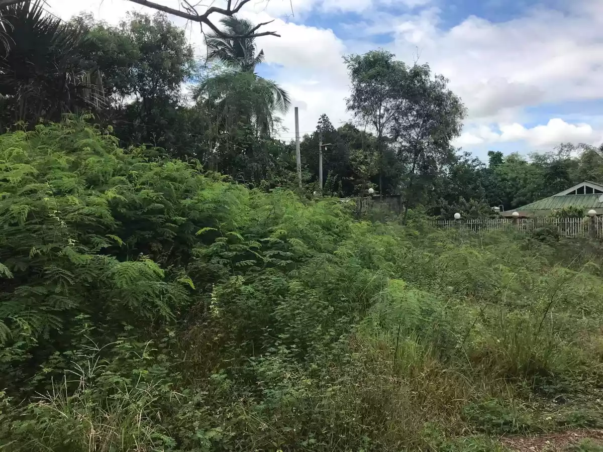 Lot for Sale - Rush Titled Property - photo 7