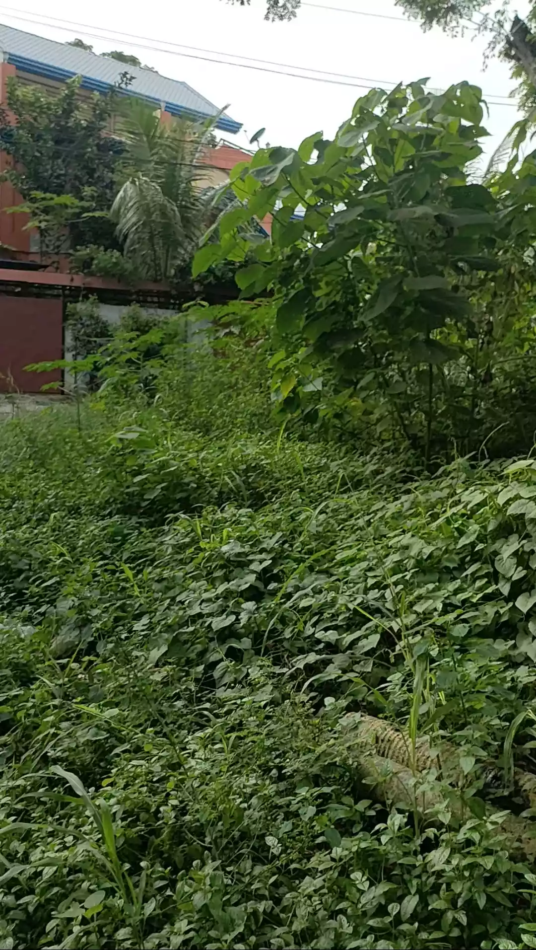 520sqm Lot For Sale in Maa — Residential Lot in Talomo, Davao City, Davao del Sur — Photo 4