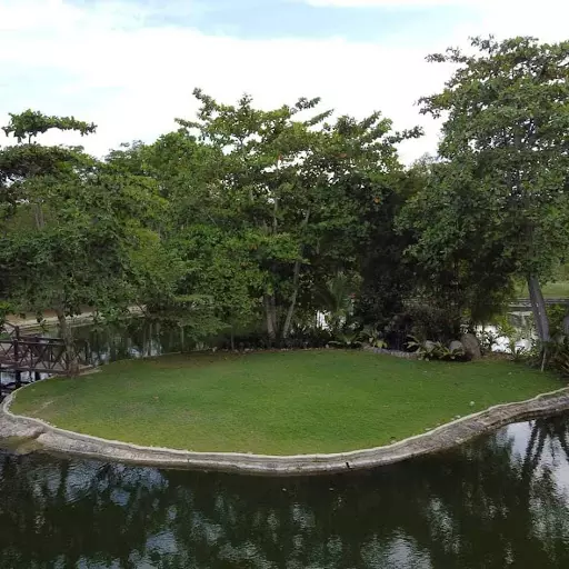 Income Generating Nature's Park in Magay, Compostela — Agricultural Lot in Compostela, Cebu, Philippines — Photo 5