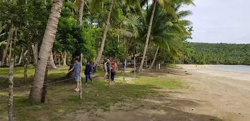 Palawan Beach lot For Sale  - photo 6