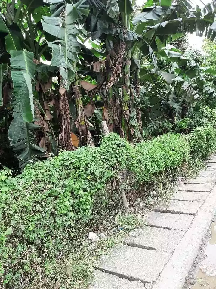 Vacant lot — Commercial Lot in San Francisco St., Poblacion, Naga — Photo 3