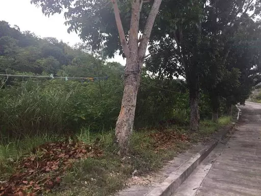 Subdivision Lot for Sale — Residential Lot in Consolacion, Consolacion, Cebu — Photo 4