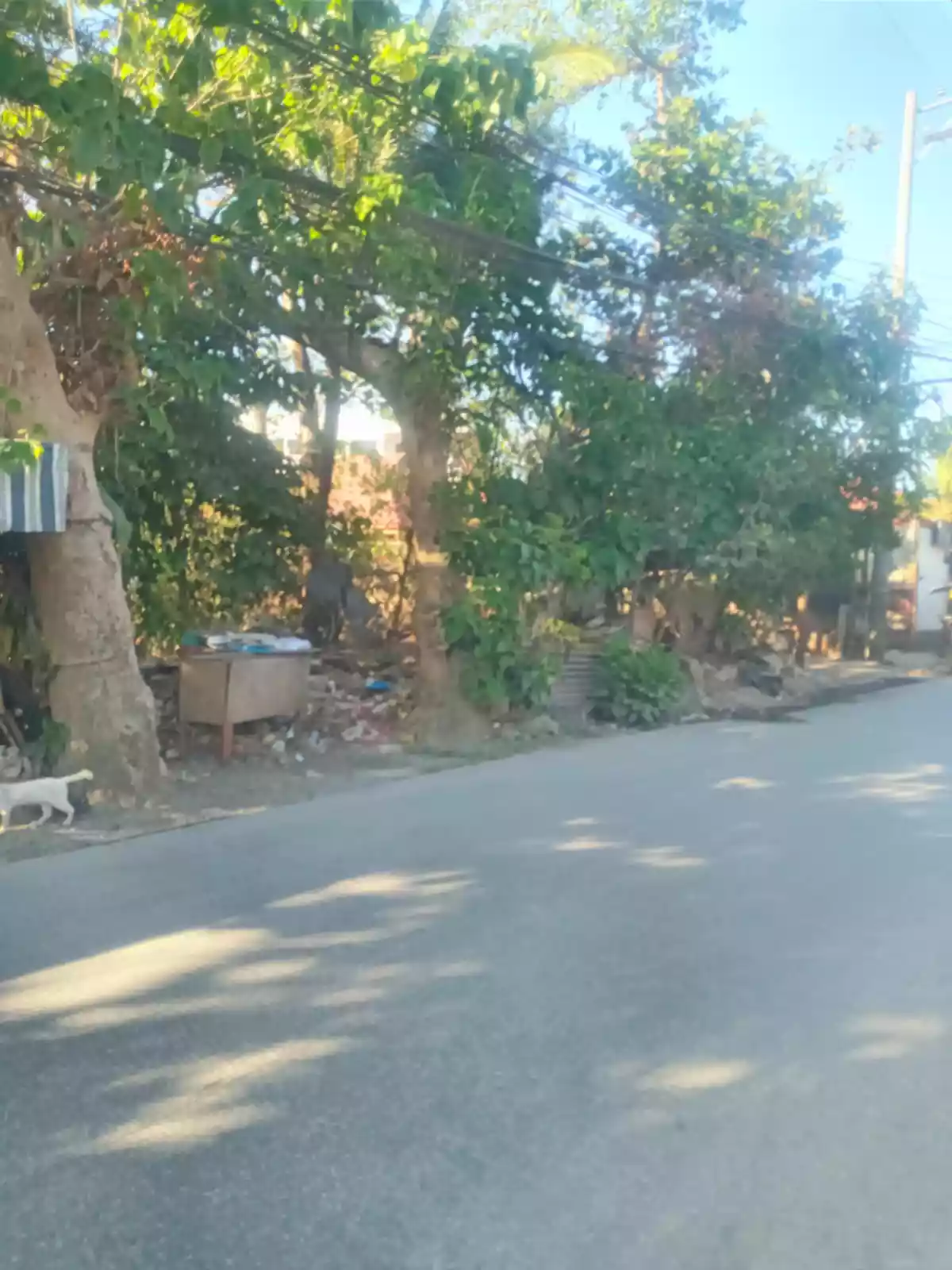 Lot for Sale in Lapu-Lapu City - photo 2
