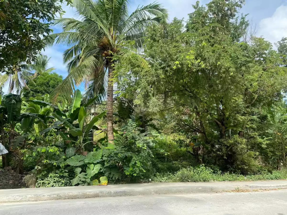 AGRICULTURAL LOT CLEAN TITLE IN POBLACION ,TABUELAN FOR SALE - photo 4