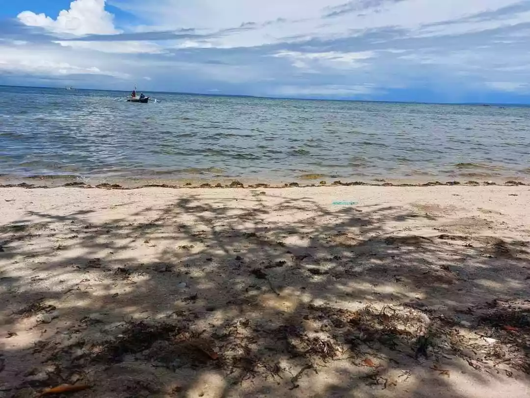 Beachlot for sale in Bantayan, Island — Beach Lot in Philippines — Photo 3