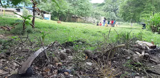 RESIDENTIAL LOT FOR SALE!!! — Residential Lot in Butuan City, Agusan Del Norte, Philippines — Photo 2