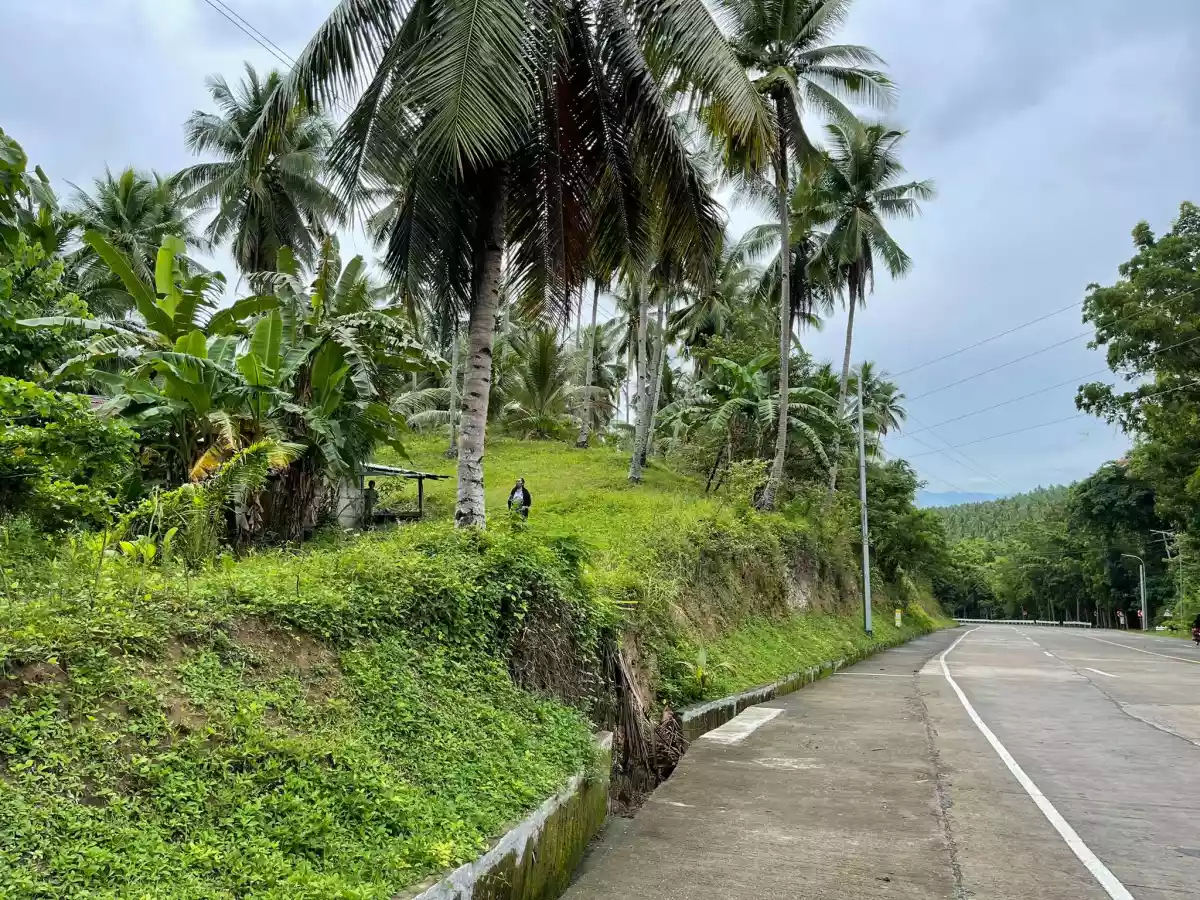 Taluya Glan Highway Property — Agricultural Lot in Sarangani, Philippines — Photo 4