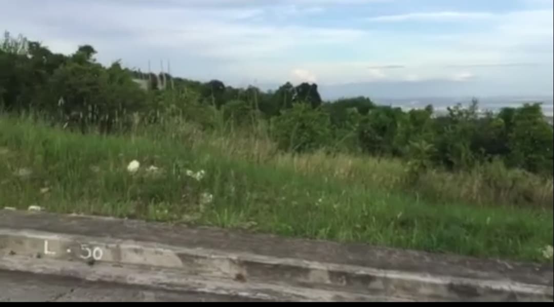 Rush Sale Fantastic View Resedential Lot in Vista Grande - photo 4