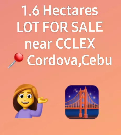 Open photo 21 of 21 — Cordova BIG LOT for SALE near CCLEX Cebu