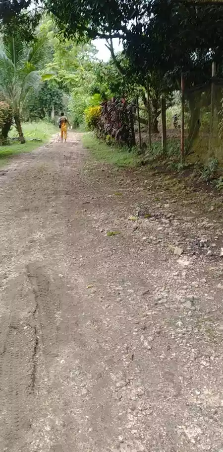 Rush Sale Farm Land in Samal - photo 6