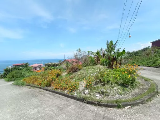 Peaceful and Relaxing — Residential Lot in Catbalogan City, 6700 Samar, Philippines — Photo 3