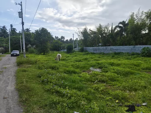 Lot — Residential Lot in South Cotabato, Philippines — Photo 4