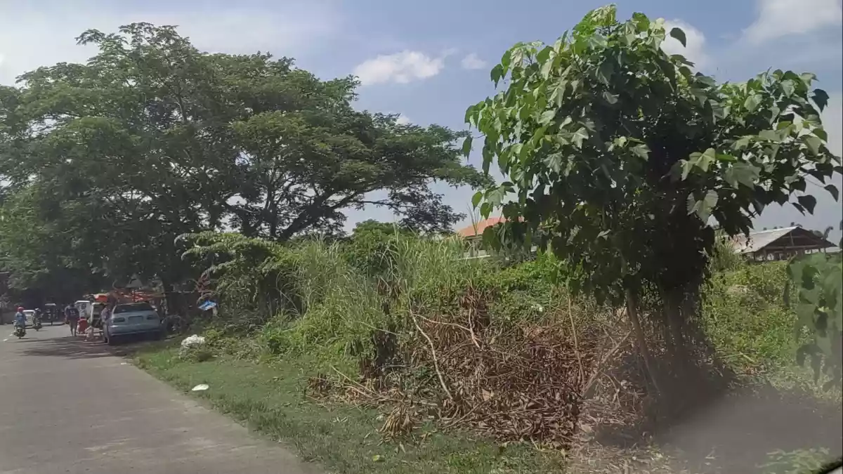 LOT For Sale in Naga City - photo 6