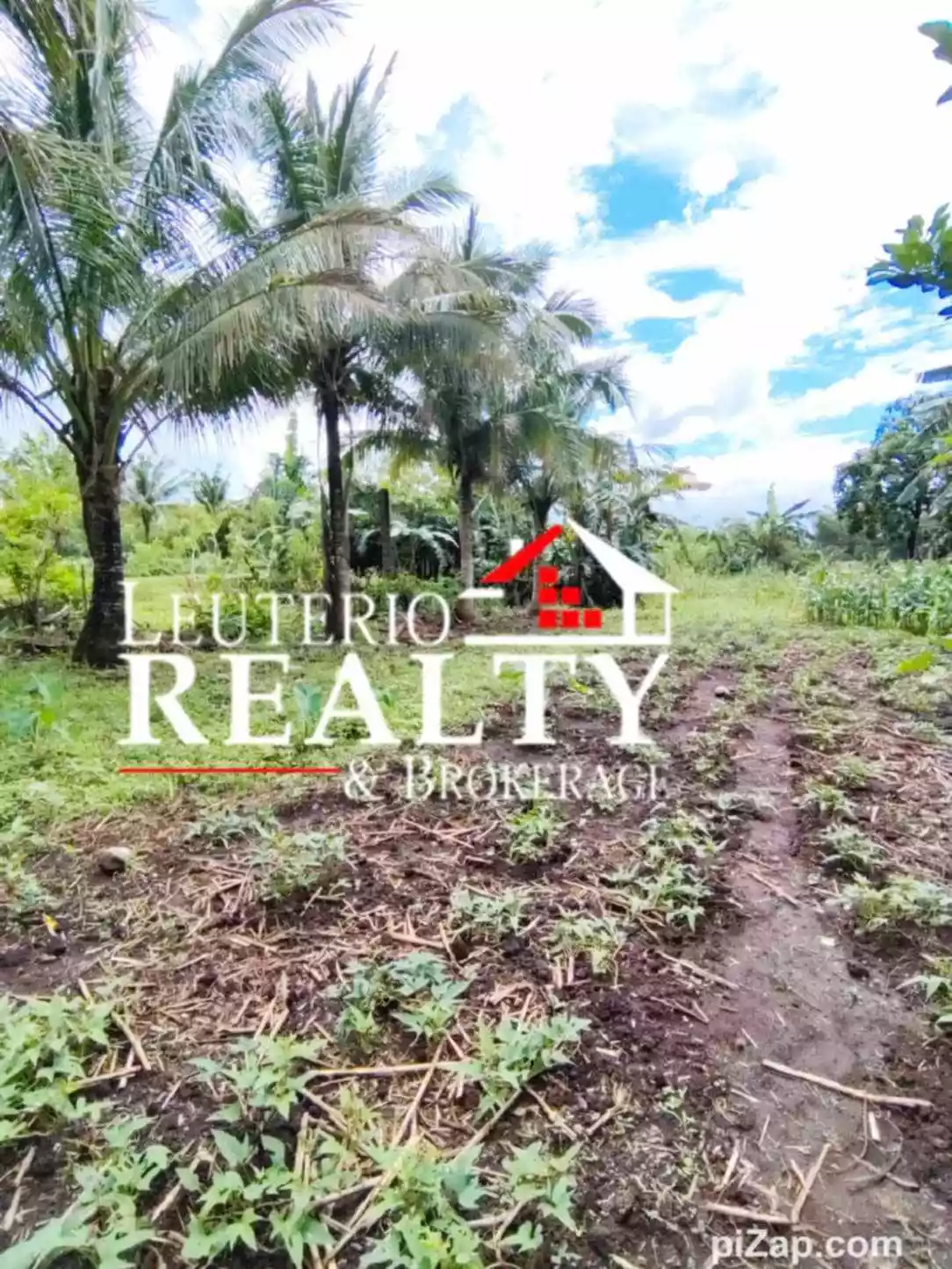 Farm Lot in Pacol/Carolina, Naga City - Good investment and business