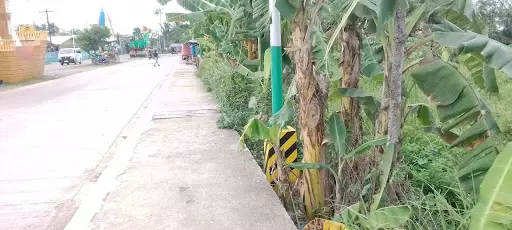 1 Hectare Title lot in Toledo along the Main road  in Poblacion Toledo 