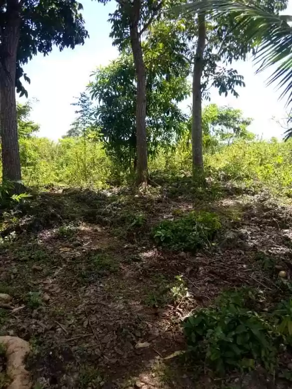 Lot for Sale - photo 4