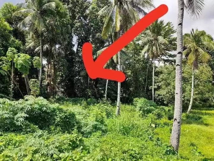 Lot Only Nga Duol DownTown Shrine HIlls  - photo 3