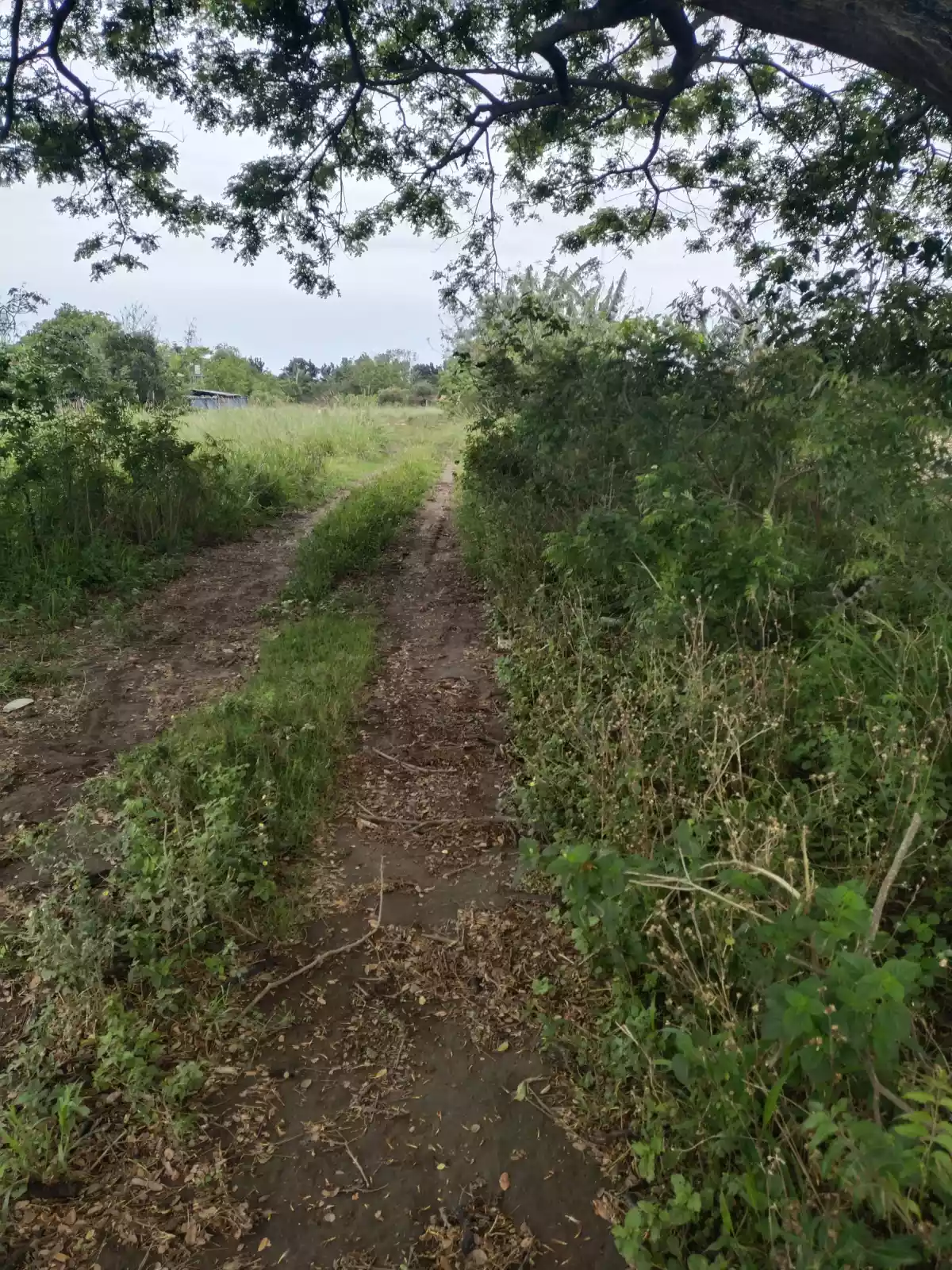 1 hectare ideal for Warehouse — Industrial Lot in General Santos City, South Cotabato, Philippines — Photo 5