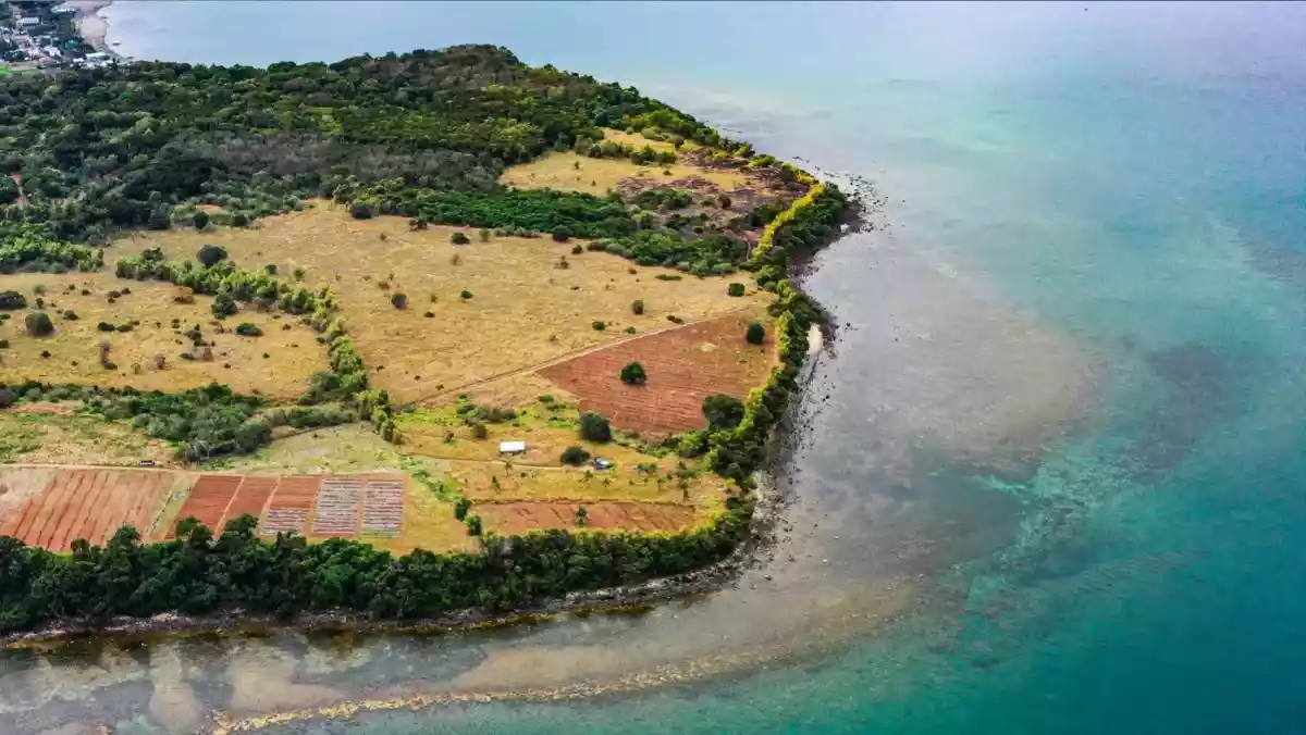 Luxury Beach Resort Opportunity in Brgy Saysain, Bagac Bataan — Beach Lot in Bataan, Philippines — Photo 3