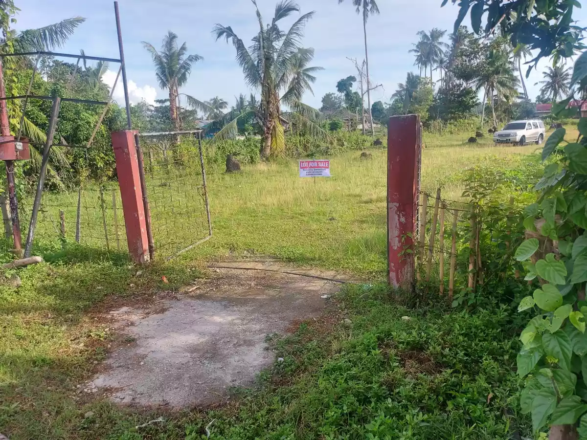 For lease & for sale: Commercial Property in Tubigon Bohol — Commercial Lot in Tubigon, Bohol, Philippines — Photo 4