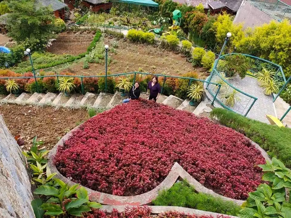 Developed Lot for sale in Busay - photo 2