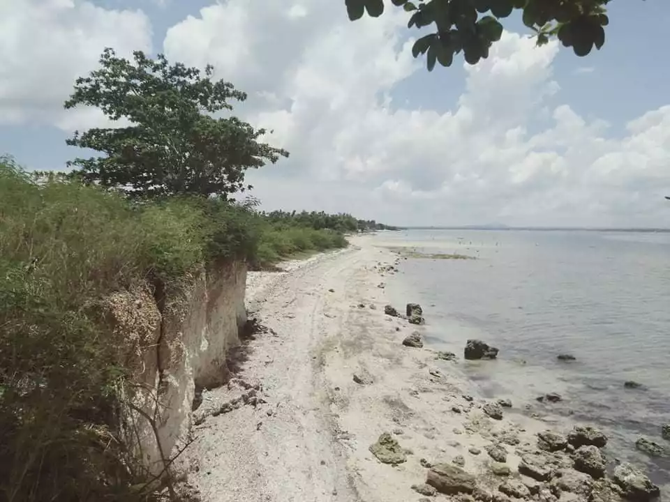 white sand beach lot for sale - photo 3