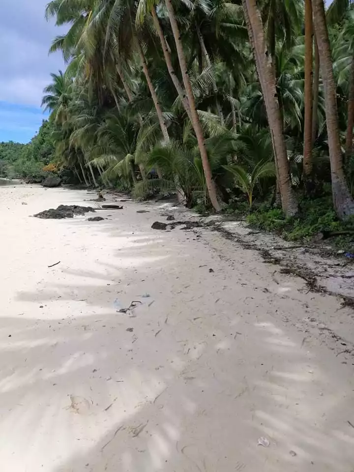 ISLAND FOR SALE IN SIARGAO ISLANDS - photo 5