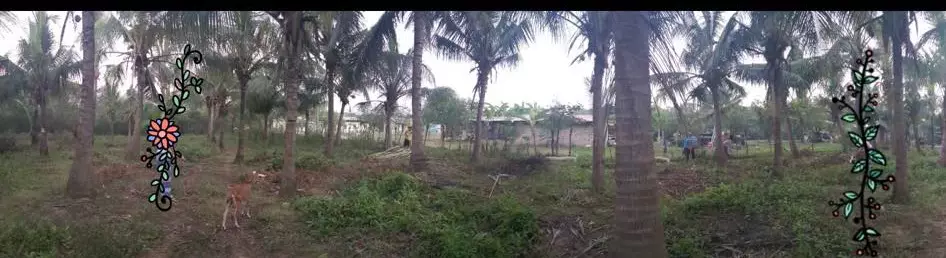 Lot For Sale in Naga Cebu — Industrial Lot in City of Naga, Cebu, Philippines — Photo 2
