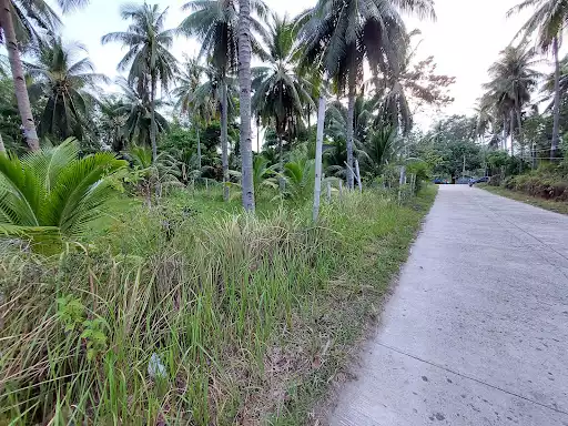 Residential lot in Bacong/Dumaguete for Sale — Residential Lot in Bacong, Negros Oriental, Philippines — Photo 4