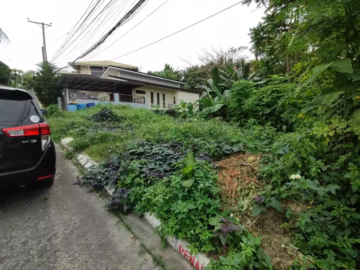 Residential Lot - Talamban Proper, Cebu City - photo 2