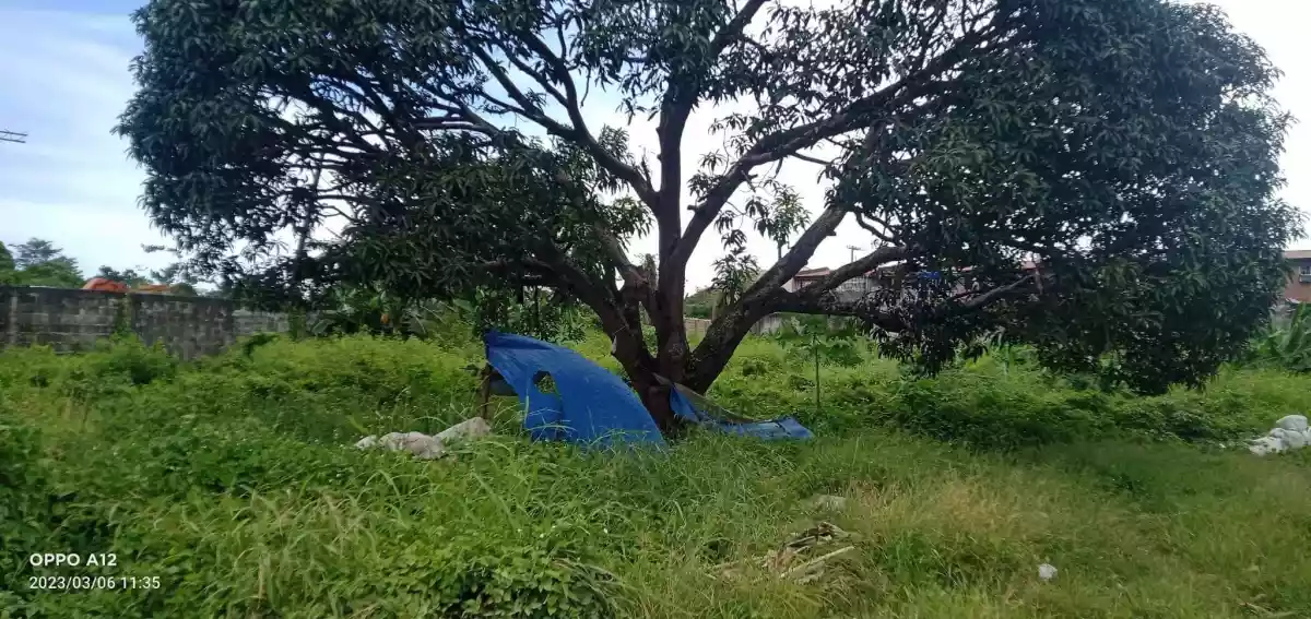LOT FOR SALE ALONG HIGHWAY in LAPU- LAPU CITY! - photo 6