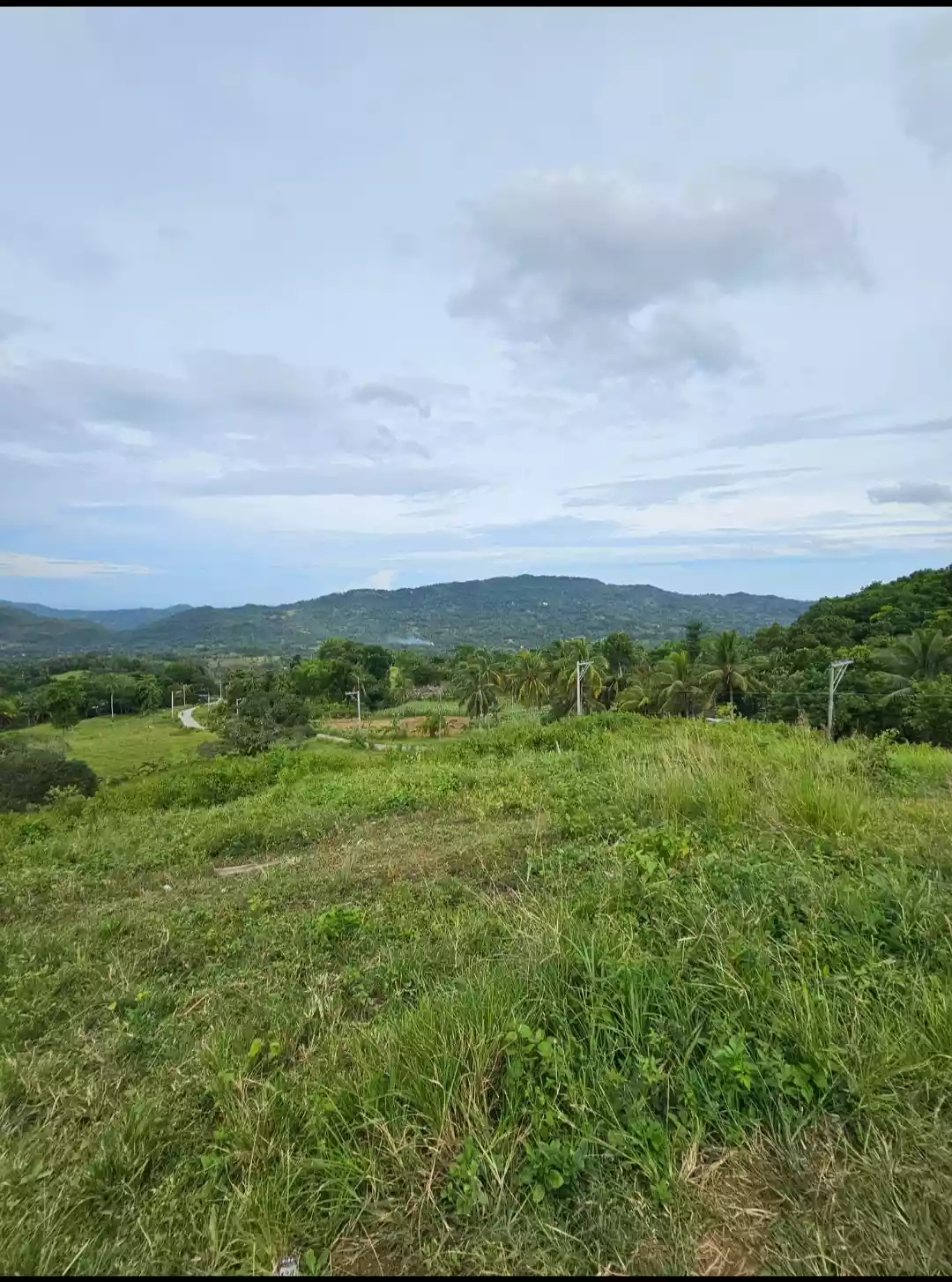 AGRICULTURAL LOT FOR SALE IN LUSARAN CEBU CITY 130,317 SQM.  - photo 3